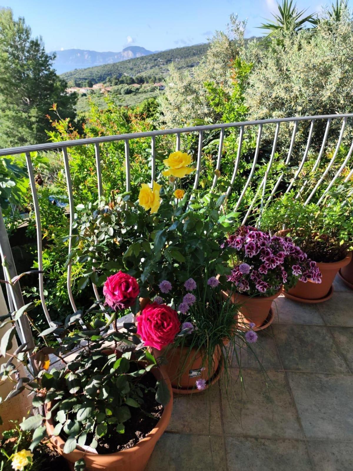 B&B Easy Wind Cala Gonone Exterior photo