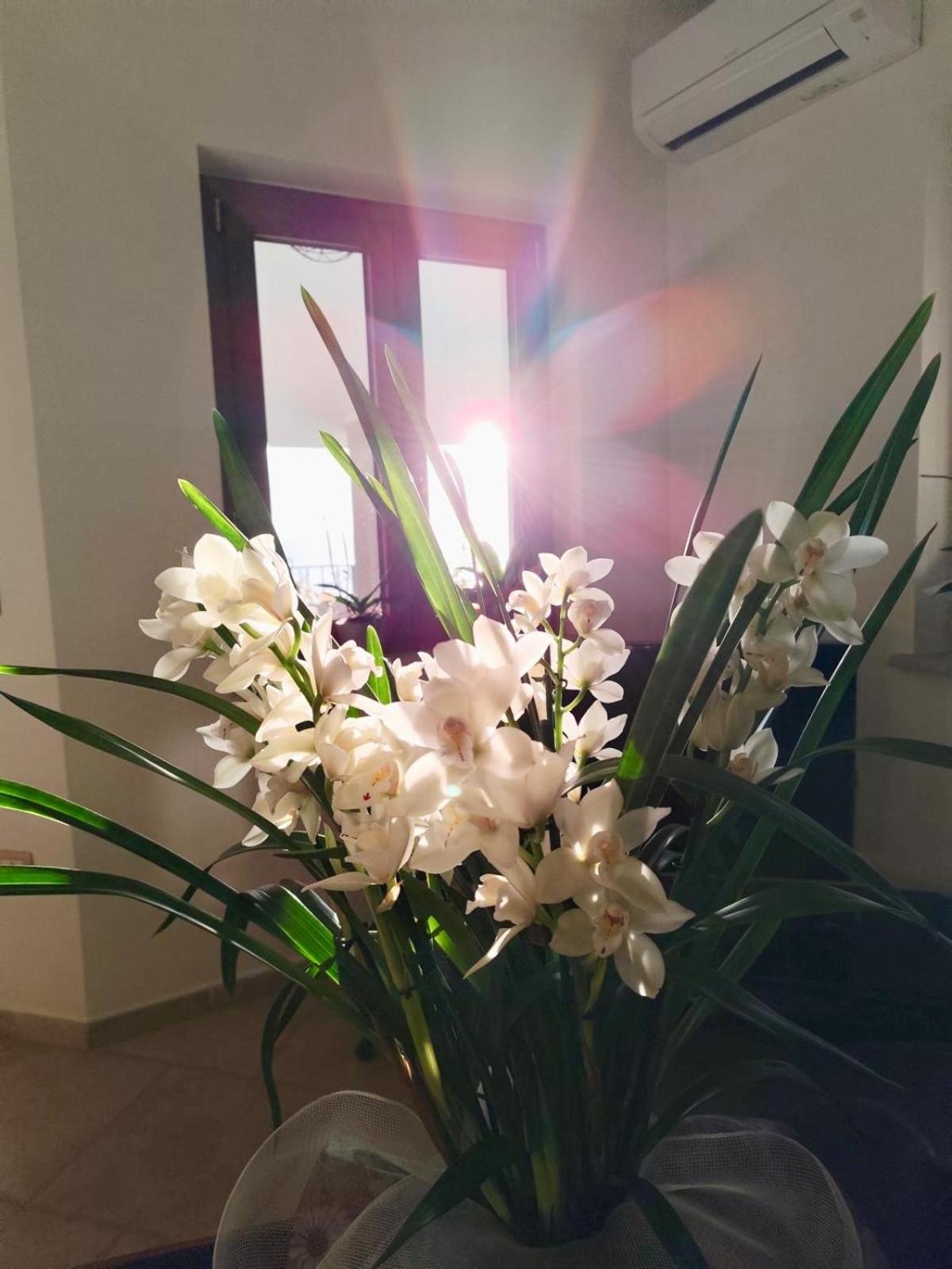 B&B Easy Wind Cala Gonone Exterior photo